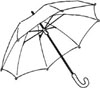 Eviter d'exposer les greffons à la pluie 7 jour après l'intervention Eviter d'exposer les greffons à la pluie 7 jour après l'intervention